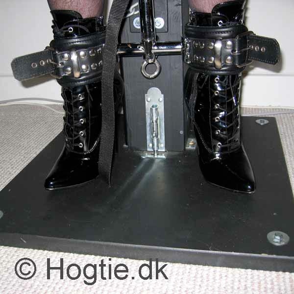 hogtie meaning