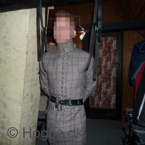hogtie meaning