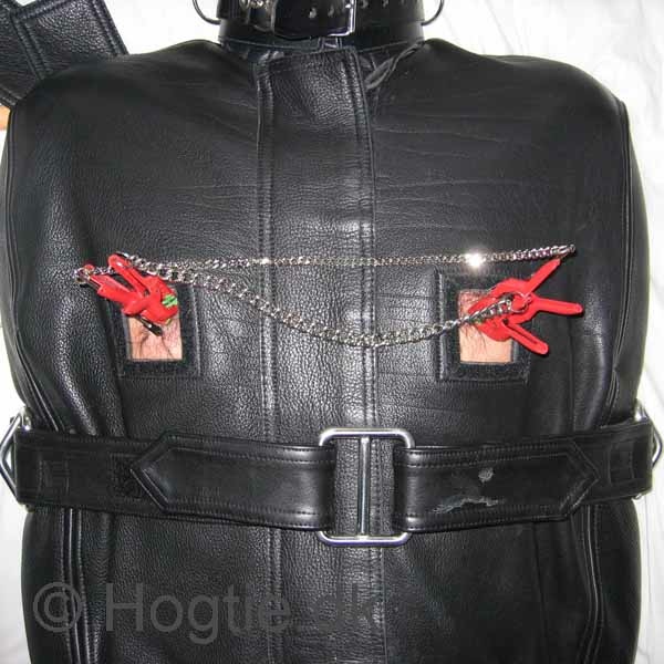 hogtie meaning