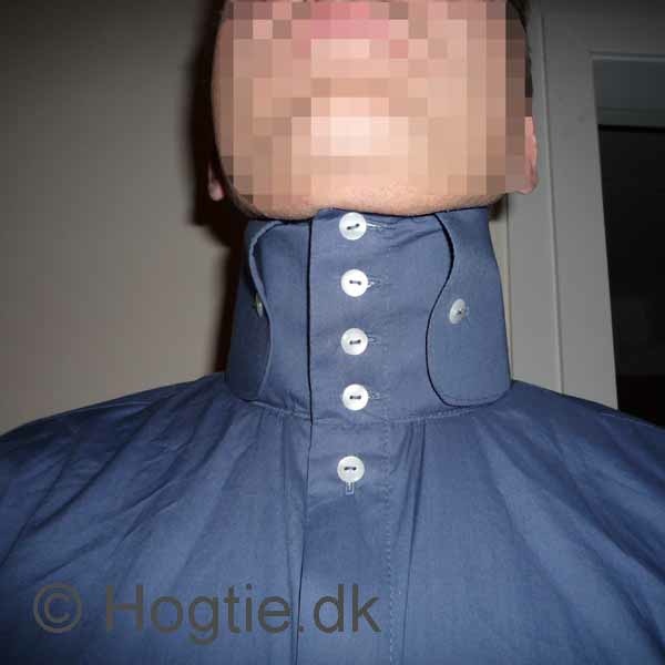 hogtie meaning
